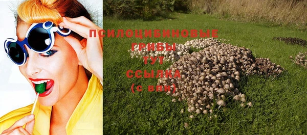 индика Балахна