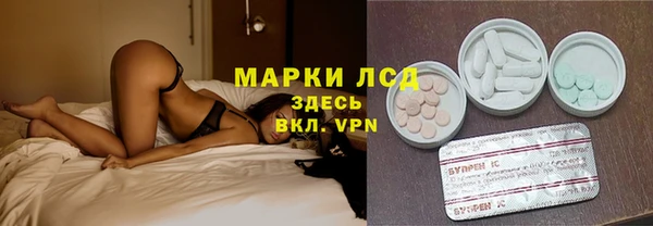 индика Балахна