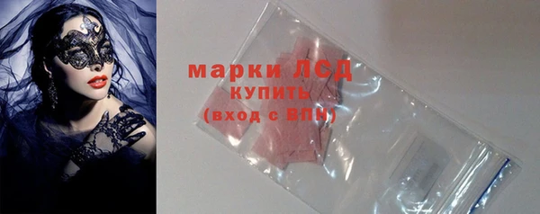индика Балахна