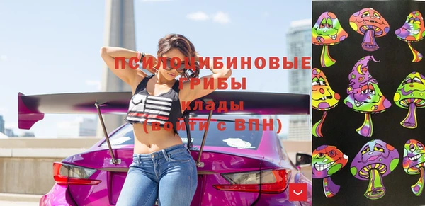 индика Балахна