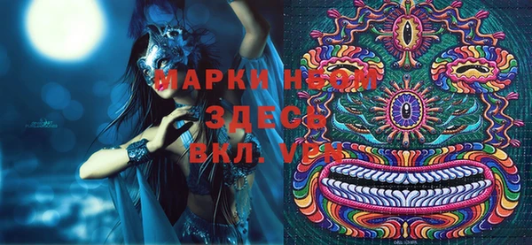 индика Балахна
