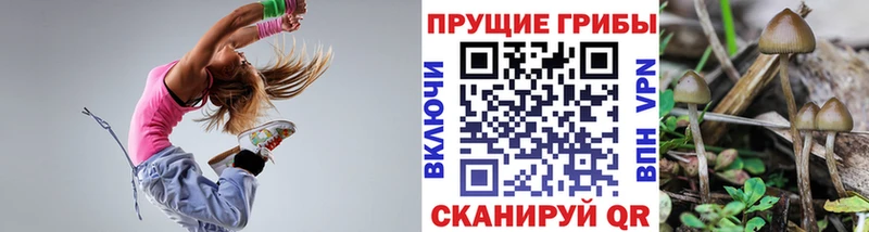 Галлюциногенные грибы Cubensis  Печора 